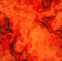 Forau Obscura : Bronze